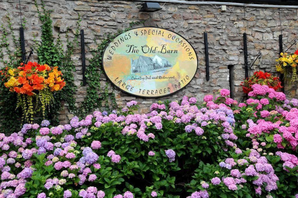 The Old Barn Inn Newport  Bagian luar foto